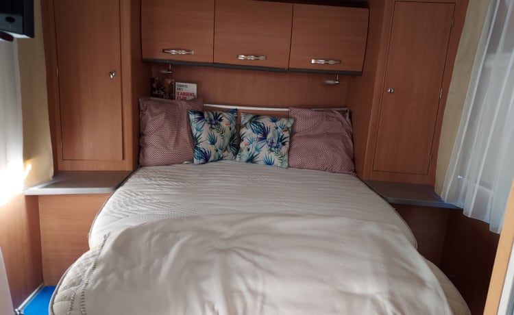 2D85 – CHALLENGER 58 .CENTRAL BED .