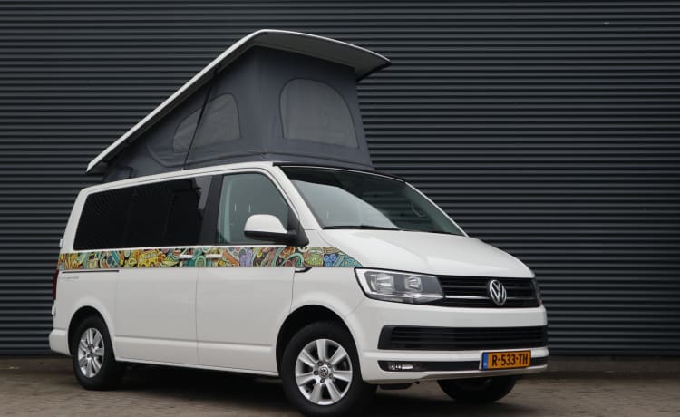 Hyppie-style – Volkswagen Camper Muehlenkord