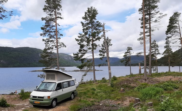 4p Volkswagen California camperbusje uit 1995