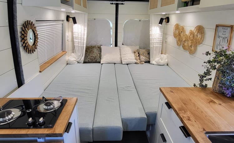 Birdie – tiny house on wheels uit 2024 - 2 p.  