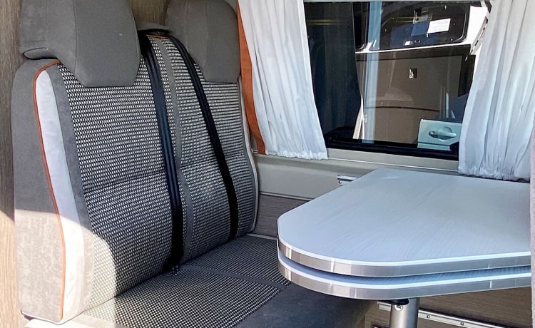 Amazone – Charmantes Citroen Jumper Bus Wohnmobil für 2 Personen