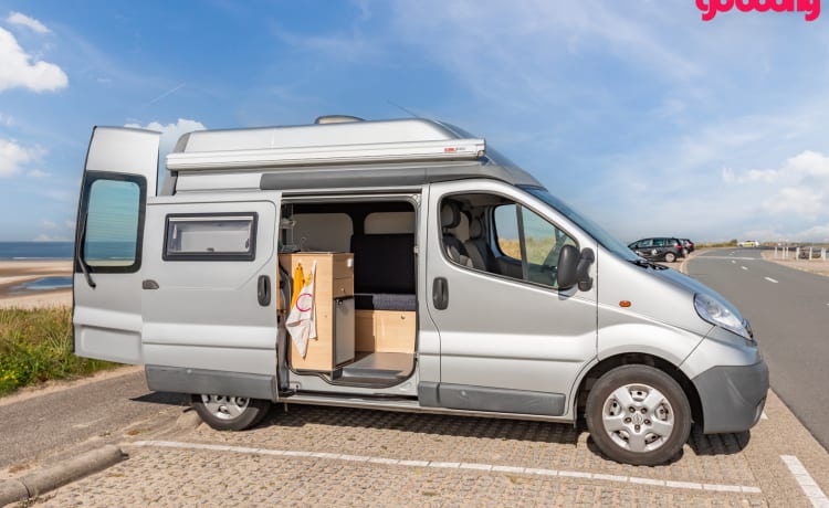 Bel camper compatto del 2010