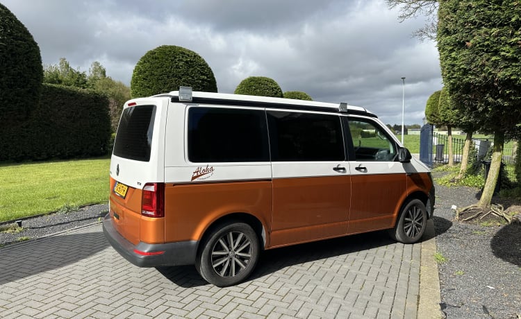 Camper Bronze – Volkswagen California T6 Aloha Camper 