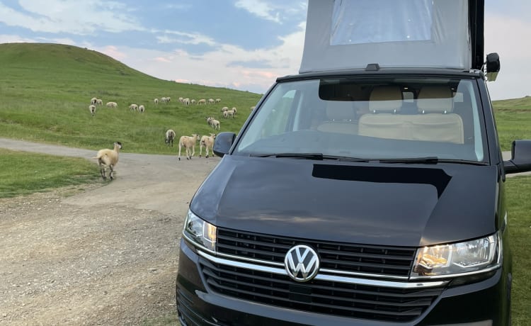 Mitch  – Splendida conversione VW T6 Camper King. 4 posti letto, 5 posti a sedere e fa girare la testa!