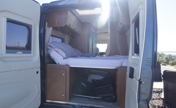 Skippy – Beautiful, sturdy luxury full bus camper.