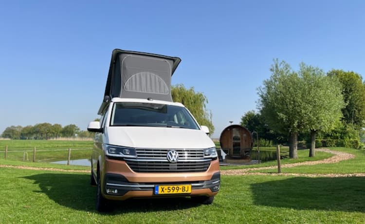 2p Volkswagen bus uit 2023