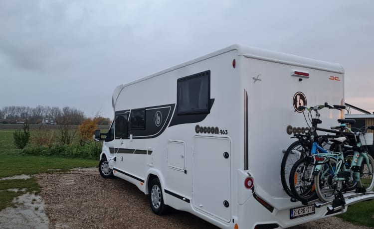 Nouveau Benimar Cocoon 463