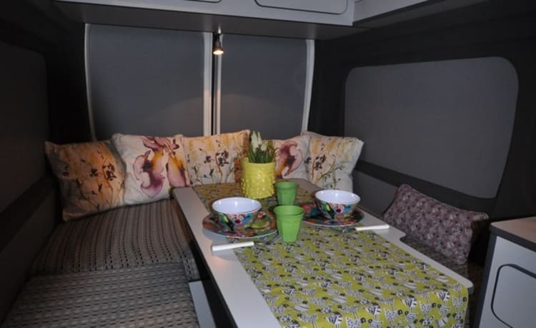 Type 2a – Modern and trendy decorated bus camper