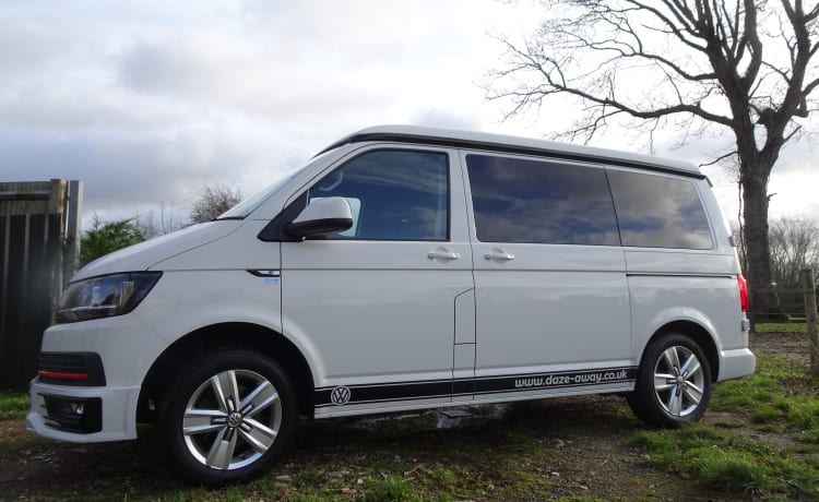 Camper VW T6 "Harley".