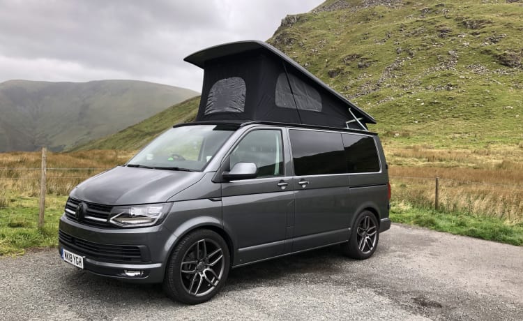 Storm – 'Hier komt de STORM' 2018 VW T6 camper