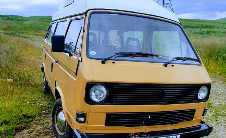 Renton – 1984 VW T25 Autohomes 1984