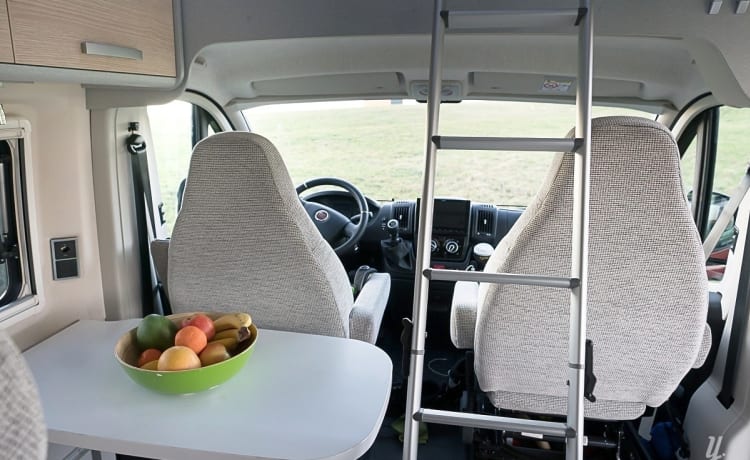 Reddy – Van - Hymer Free 600