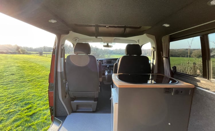 Rose – VW T6.1 – Kingsize-Bett – Küchenpod – Neu für 2022