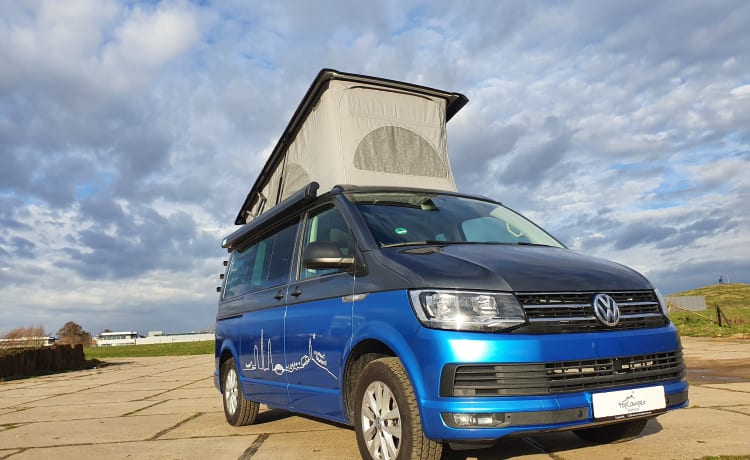 Bulli Ventoux – Volkswagen Beach T6 super ideale e lussuoso con cambio automatico e tetto a tenda California