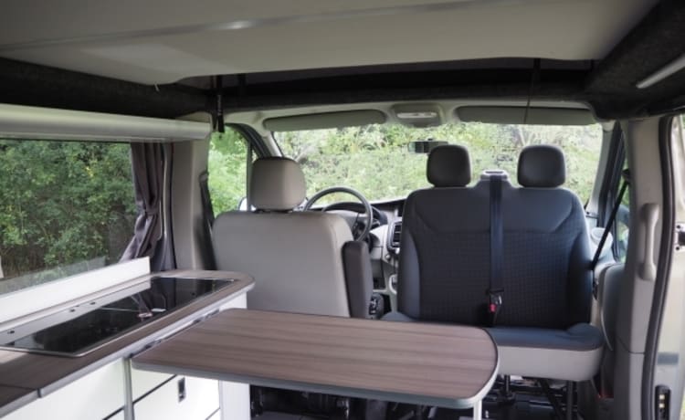 Tapis │ Camping-car de luxe 2 personnes