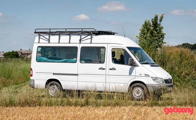 Marcelleke – Super gemütlich umgebauter Mercedes Sprinter Campervan L2H2