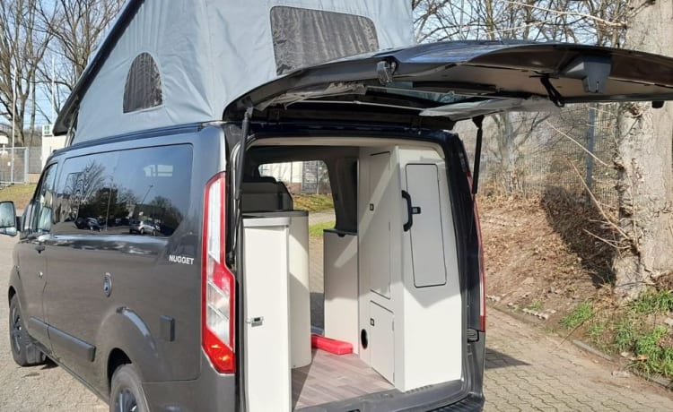 4p Nugget Westfalia Euro6 mag overal in!