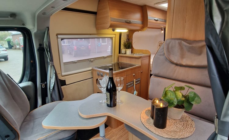 OFF-GRID – Very nice and fully equipped bus camper!