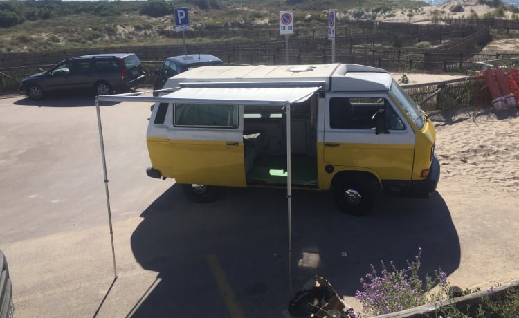 Vintage in libertà - T3 Westfalia  