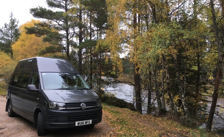 Capercaillie – 2-persoons Volkswagen campervan uit 2016