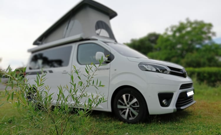 Verhuur Van Crosscamp flex Toyota