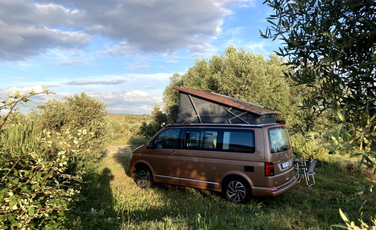 Copper Bronze – VW California Ocean T6.1