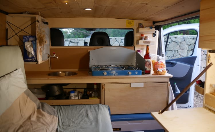 Tom – Van trafic 3 very cozy and ergonomic