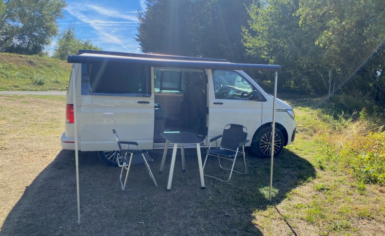 Volkswagen California T6.1 Coast DSG7