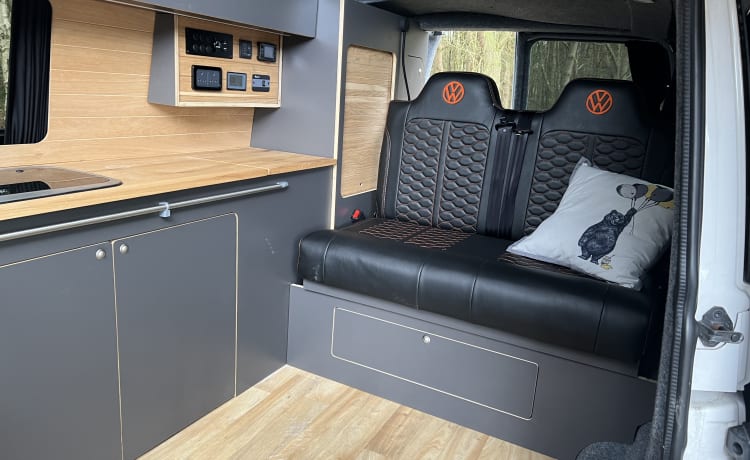 Camper Volkswagen 4 posti letto del 2016