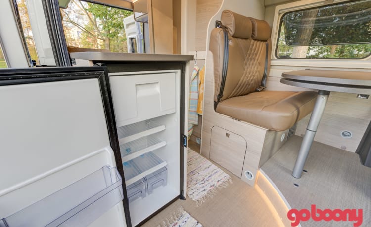 Den Burt – Brand new 4pers Burstner Bus Camper