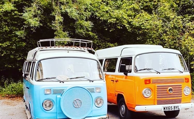 Terry – Terry - Retro VW T2 Bay Window Campervan!