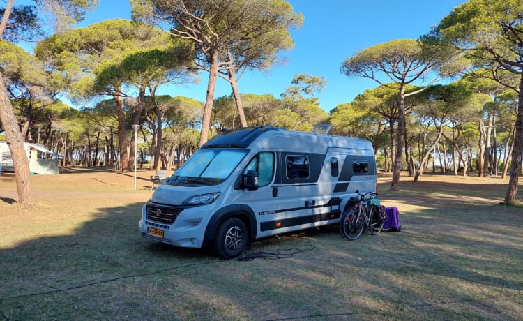 Brixton – Camper 2P Adria Mobil Bus del 2021