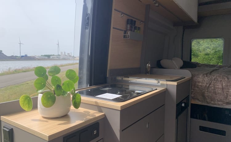 Camper LMC sportivo 2p anno 2023