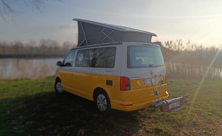 STORMY 1 – Volkswagen California Ocean 