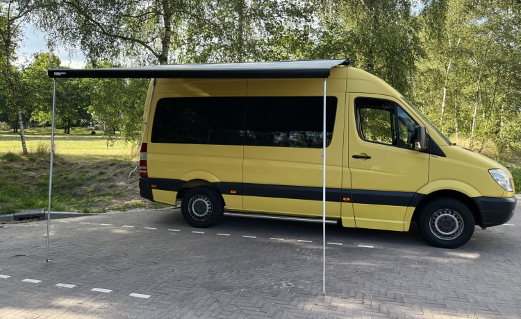 Hetty – 2p Mercedes-Benz bus uit 2010