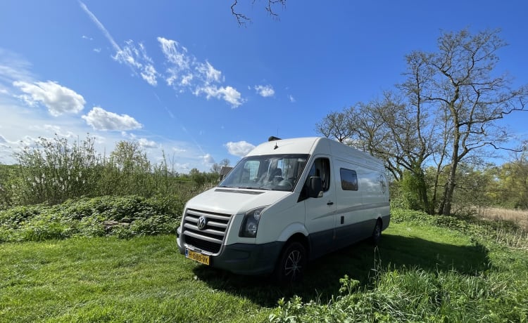 Ollie – 2p Volkswagen bus from 2010