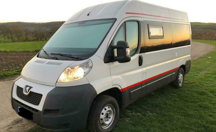 camper bus praticamente classificato,