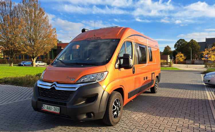 Oranje Puzzel – 2p Pössl bus uit 2019