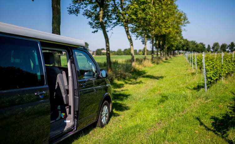 4p Volkswagen campervan from 2022