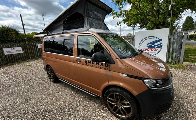 YT72KEU – 4 posti letto Volkswagen Campervan Londra - Romford