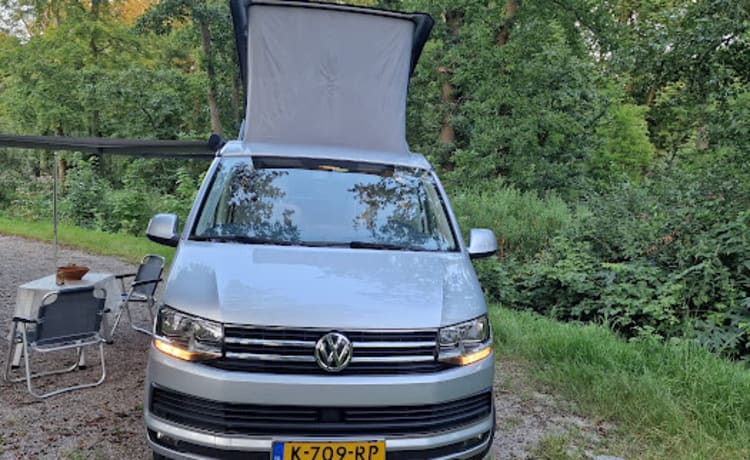 Zilveren Zwerver – Volkswagen camper (2018) - automatic 