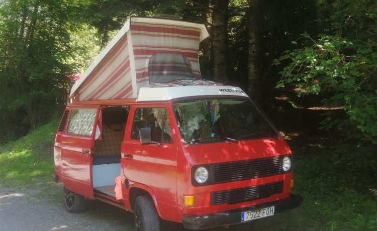 Il Nido  – Klassischer VW Westfalia Camper