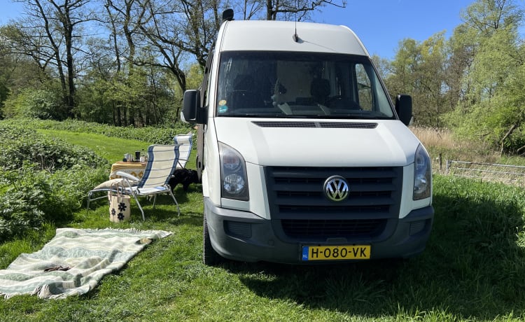 Ollie – 2er Volkswagen Bus aus dem Jahr 2010