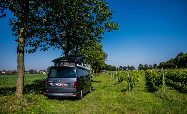 VW California 6.1 Ocean (2022) – 4 Personen – Automatik + Fahrradträger