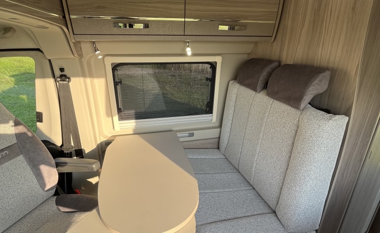 Ziggy – ZIGGY- Gloednieuwe automatische Elddis GTV80 camper voor zelfverhuur