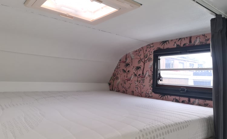 Retro roamer  – Leuke 4 persoons alkoof fiat ducato