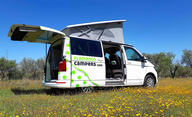 "CARMELA" VW T6 CALI BEACH CAMPER – Flamenco Campers, Huur een camper, verken Andalusië.