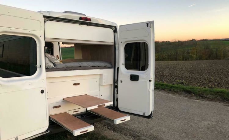 camper bus praticamente classificato,