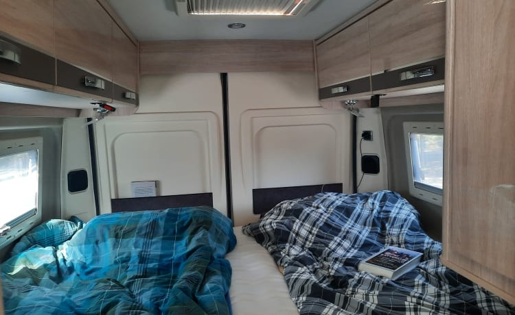 2p Rapido Bus Camper von 2018