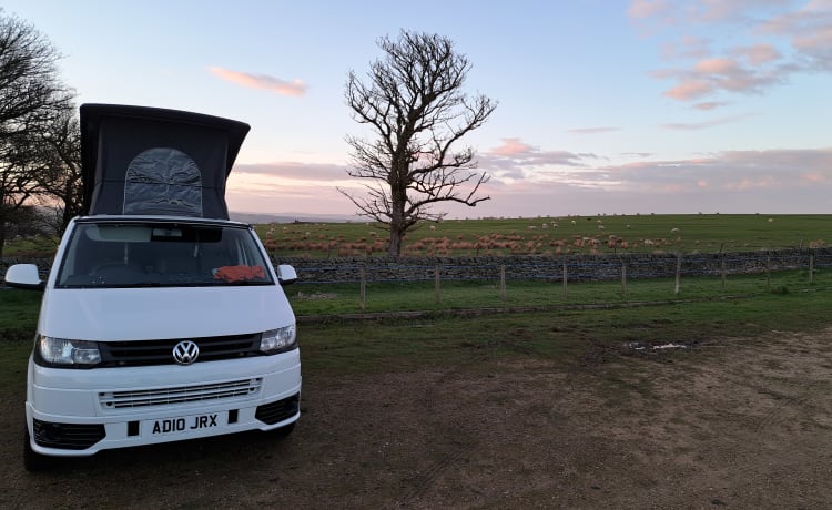 Transporter-Saurus-Rex – Transporter-Saurus-Rex... a 4 berth Volkswagen campervan from 2010